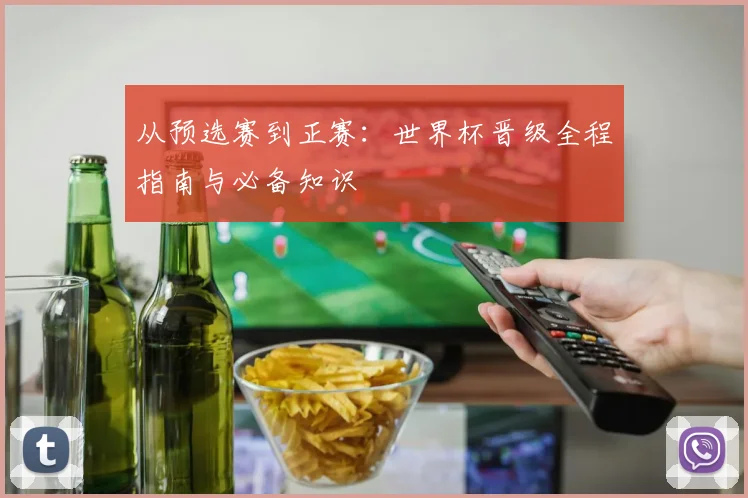 从预选赛到正赛：世界杯晋级全程指南与必备知识