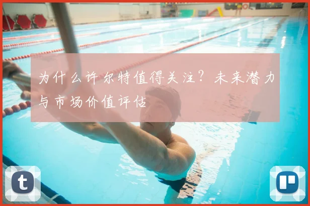 为什么许尔特值得关注？未来潜力与市场价值评估