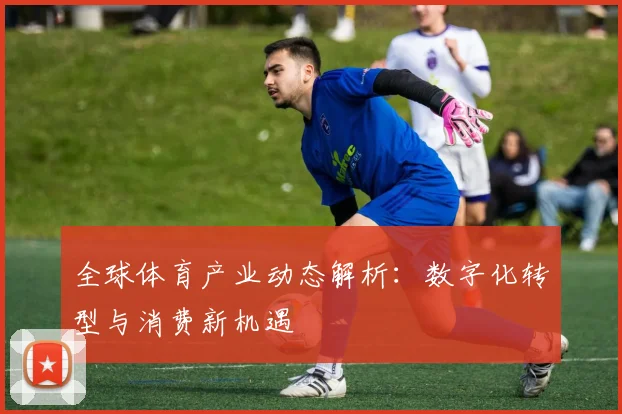 全球体育产业动态解析：数字化转型与消费新机遇
